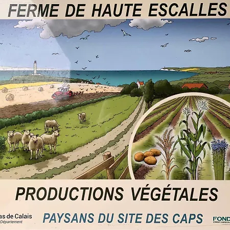 Pensionat Ferme De La Haute-escalles Escalles